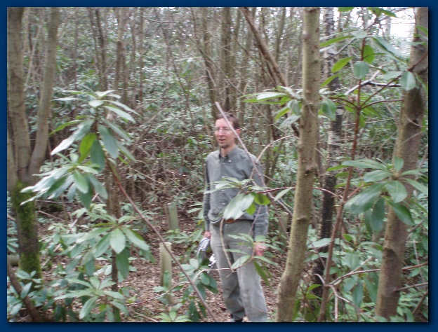 600x449 pixels (164K)